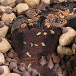 Ted Williams Chocolate